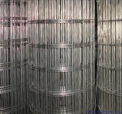 荷兰网与金属板网 专业生产与低价批发指南